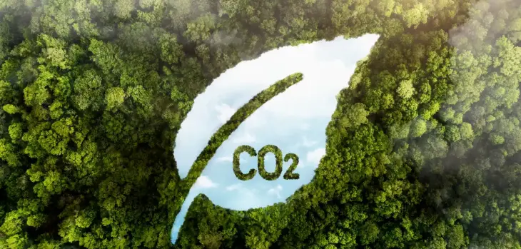 Packaging Solutions That Reduce Carbon Footprint