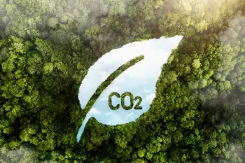 Verpackungslösungen zur Reduzierung des CO₂-Fußabdrucks